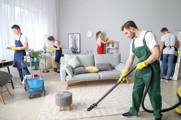 natural cleaning solutions for home