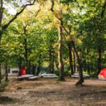 best campgrounds for beginners