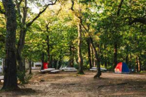 The Best Campgrounds for Beginners Across the USA