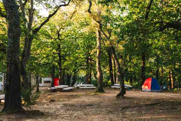 best campgrounds for beginners