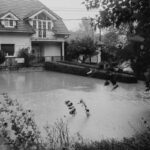 water backup sump pump coverage homeowners