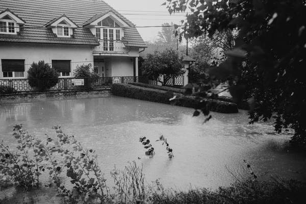 water backup sump pump coverage homeowners
